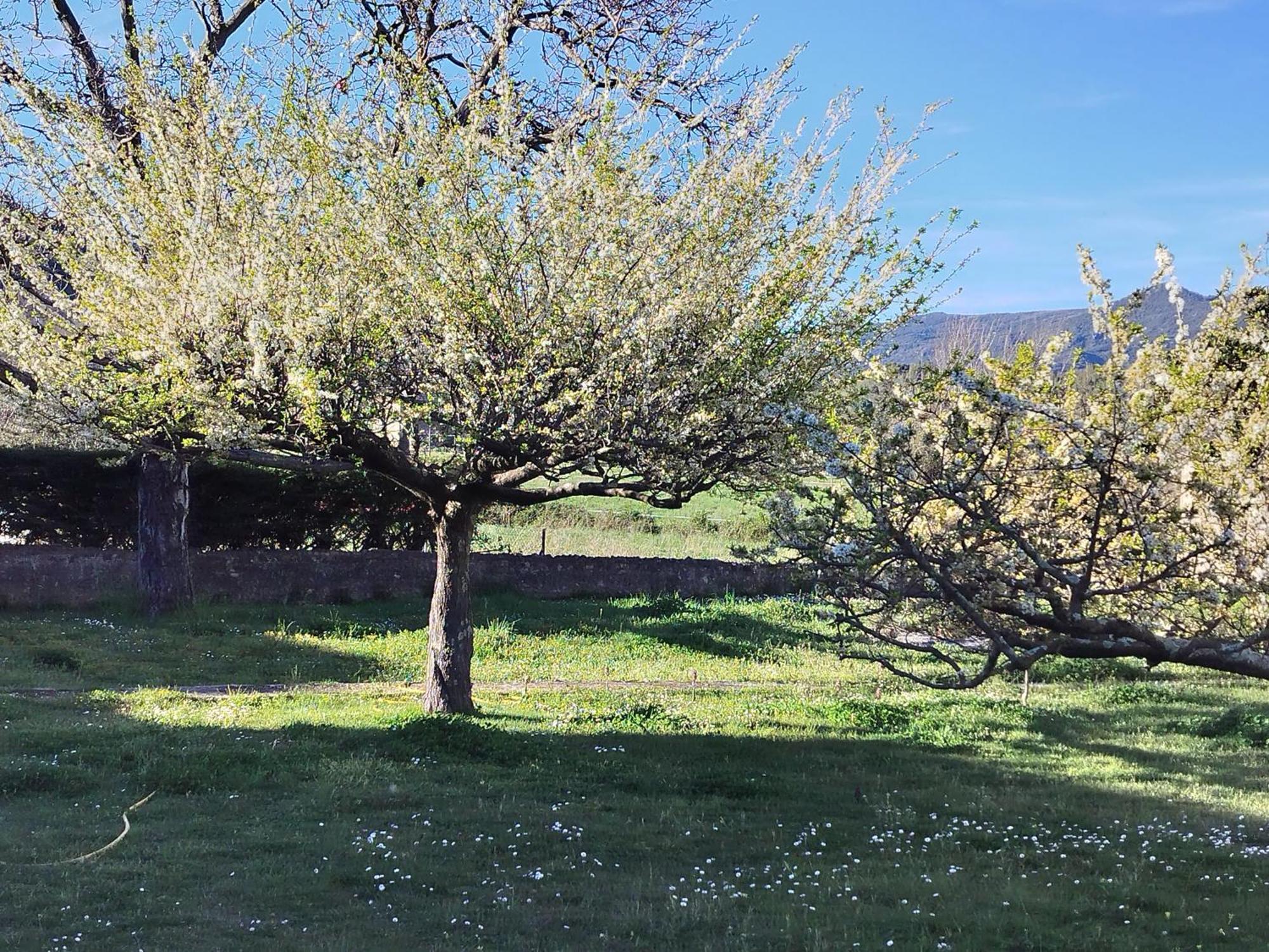 Finca Arep Alquiler Integro 6 Les Planes Лес Планес д'Остолес Екстериор снимка